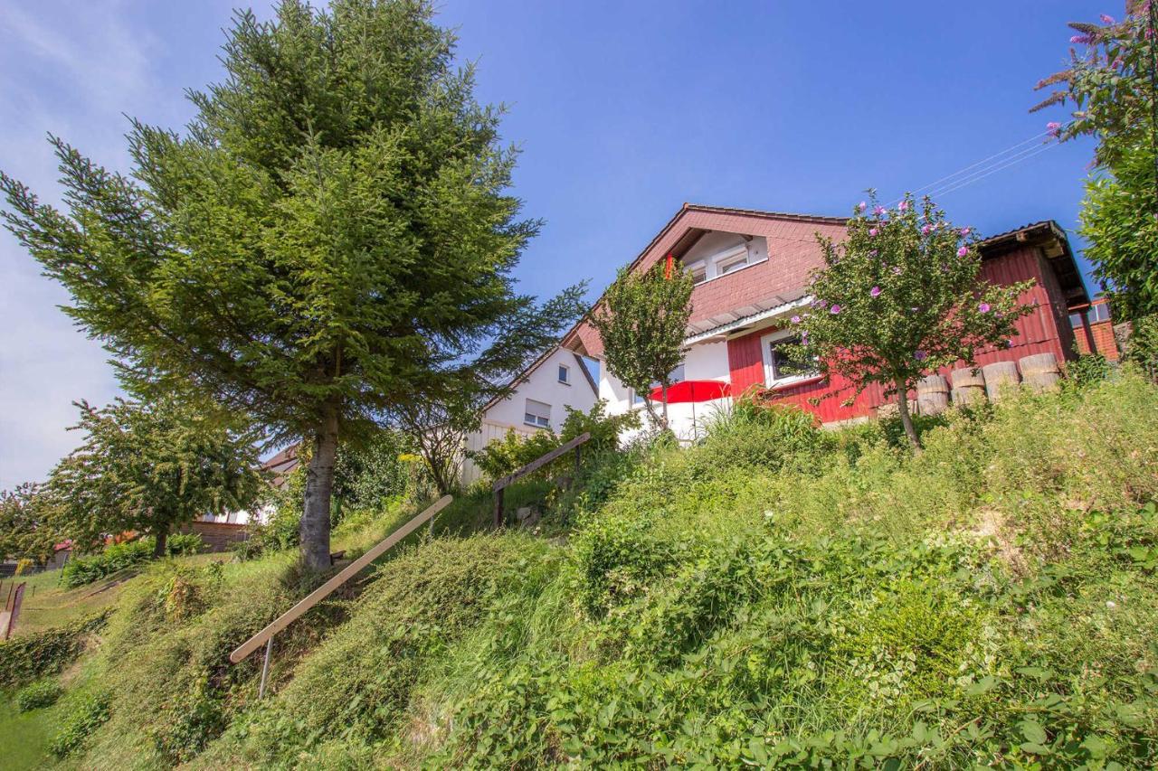 Haus Sonnenhang Фризенхайм Екстериор снимка